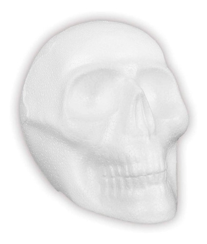 Cabeza Craneo Busto De Unicel Papeleria 10 Craneos