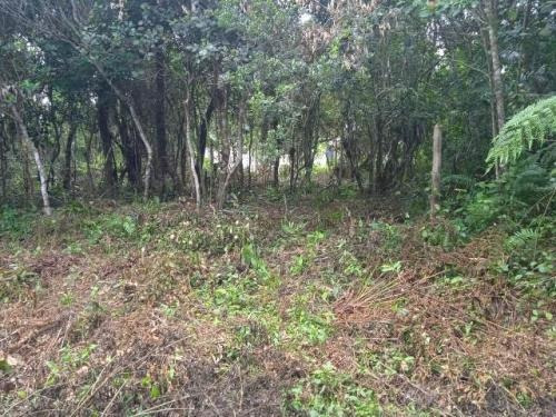 Imagem 1 de 6 de 7691 | Terreno No Jd Marambá, Com 286 M², Em Itanhaém.