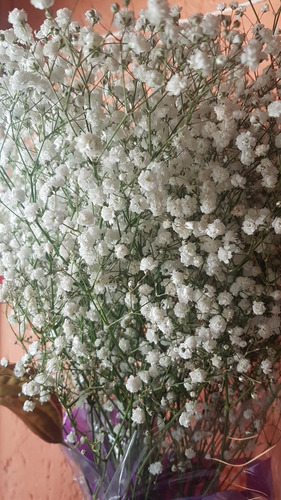 Imagen 2 de 5 de Floreria Vara De Flores De Ilusion