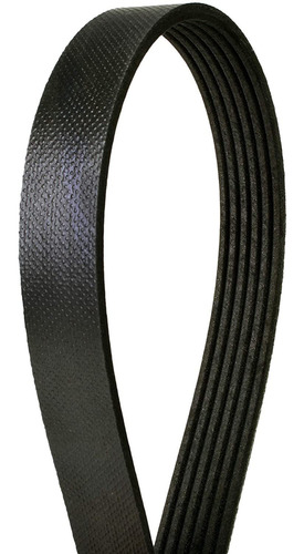 Continental 4060407 Oe Serie De La Tecnología Multi V-belt