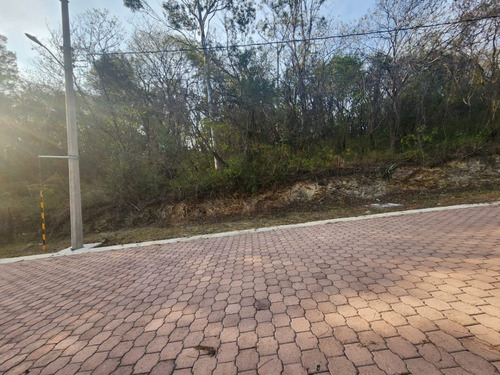 Venta Lote Gladiola 32 En Calle Privada De Nueva Zona De Fracc Rancho San Diego Ixtapan De La Sal Edomex Con Todos Los Servicios Y Vistas Panorámicas.