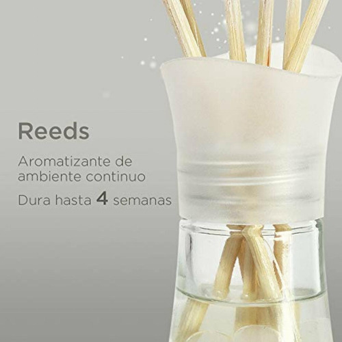 Air Wick Real Reed Diffuser Aromatizante De Ambiente, Aromas