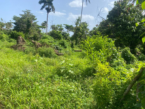 Se Venden Lotes En Las Terrenas Samana En La Bonita