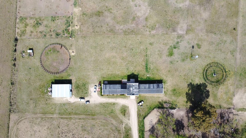 Imagen 10 de 19 de Campo - Coronel Brandsen