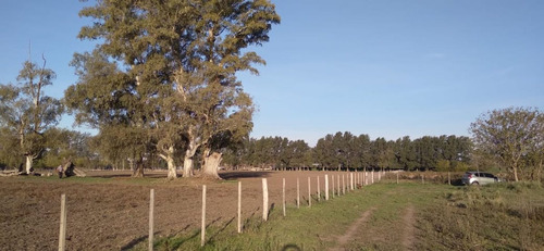 Campo - Fraccion De 7.24 Has.