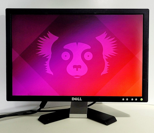Monitor Lcd 19 Dell e198wfp Dvi Alta Resolução Ver Descrição