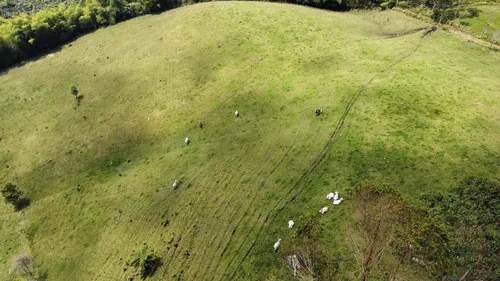 Vendo Permuto Finca Líbano Tolima