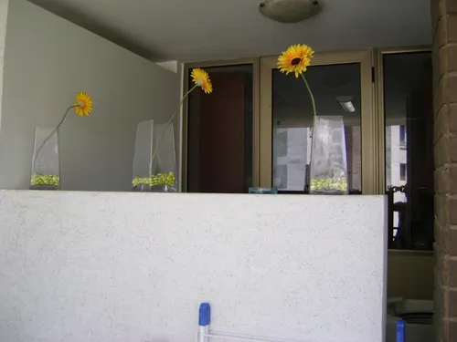 Se Vende Departamento Calle Alsacia El Golf
