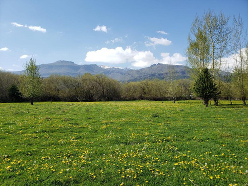 Imagen 5 de 12 de Venta Terrenos Callejón De Gins Gins - San Martin De Los Andes