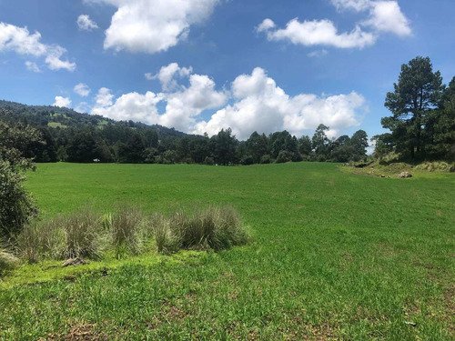 Imagen 7 de 13 de Gran Oportunidad Terreno Arenal Para Rancho
