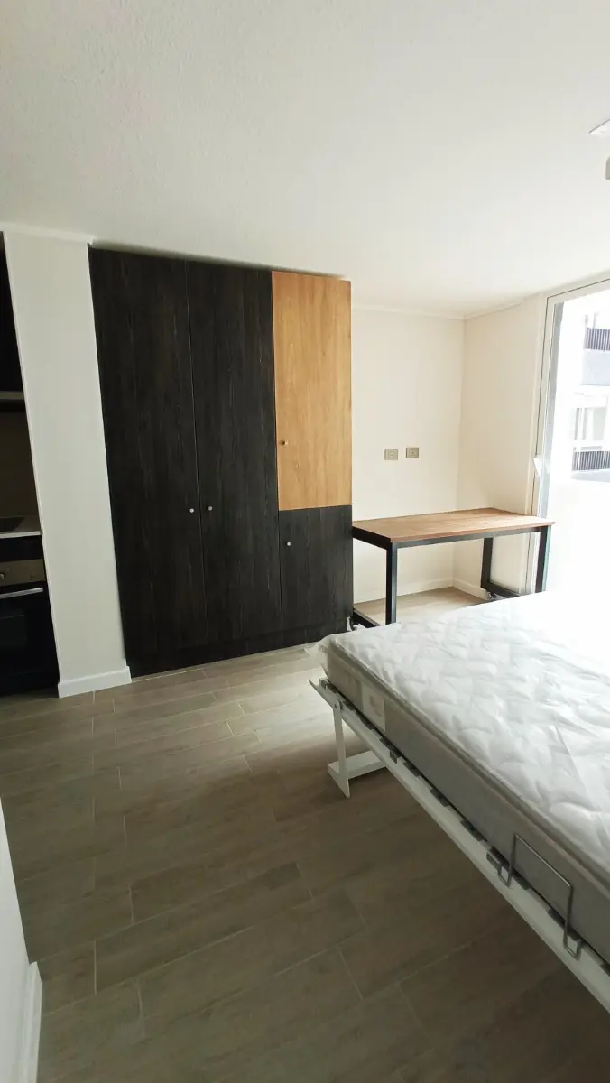Imagen 5 de 14 de Departamento En Venta En Parque O'higgins, Santiago