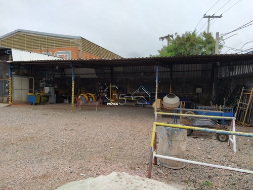 Imagem 2 de 6 de Terreno - Te00143 - 69572296