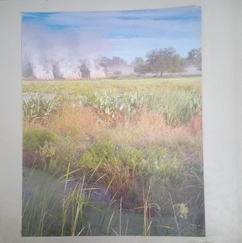 Recorte Paisaje Carboneras En Pozo Del Tigre Formosa (rp)