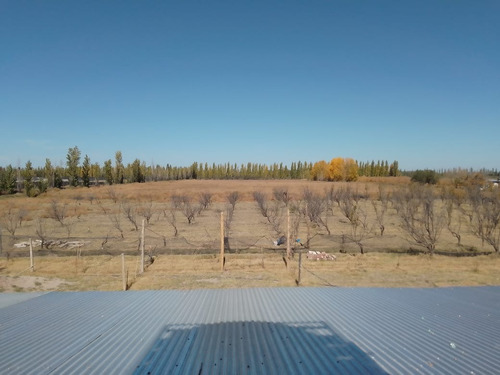 Vendo Finca De 6 Ha Y Fracción En San Rafael Mendoza