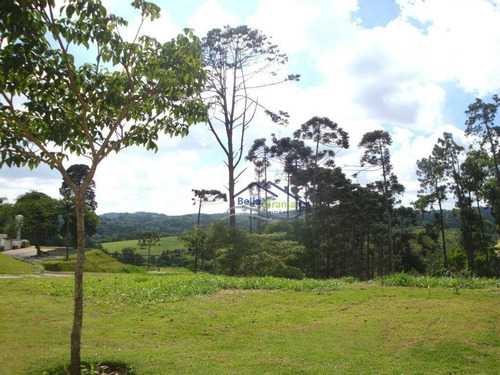 Imagem 13 de 20 de Vintage (granja Viana) - Te0088