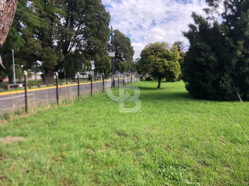 Terreno En Primera Línea En La Costanera De Llanquihue