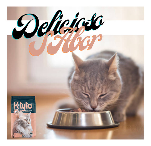 Ktyto Croquetas Para Gato Con Proteína De Salmón - 10kg