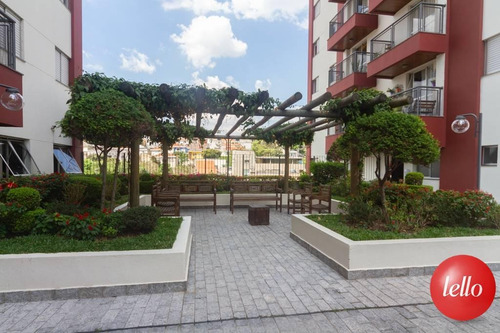 Imagem 24 de 30 de Apartamento - Ref: 242599