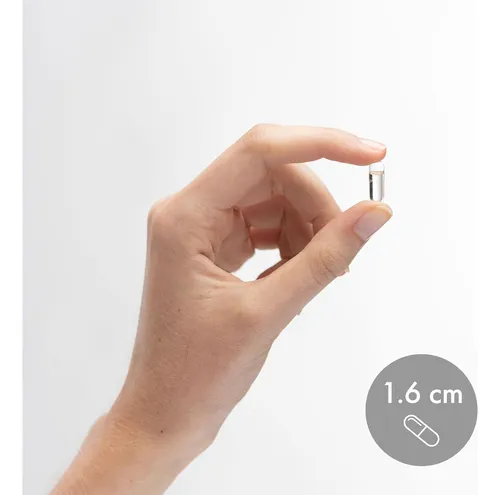 Yodo 90 Cápsulas Para Salud Ósea Y Cerebral Apoyo Energético