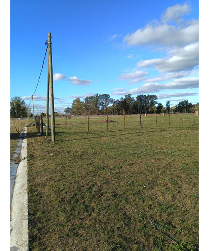 Venta Lotes Virrey Del Pino