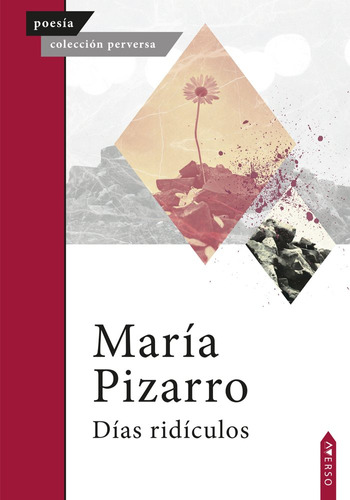 Libro Dã­as Ridã­culos - , Pizarro, Marã­a