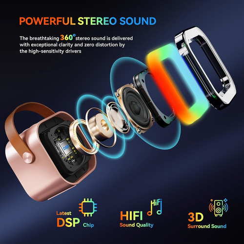 Mini Altavoz Portátil Bluetooth Karaoke Con 2 Micrófonos