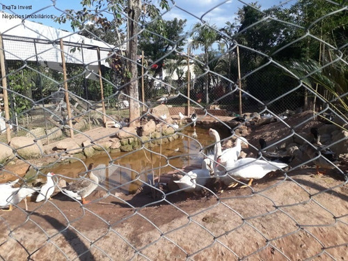 Imagem 21 de 30 de Galpão Com 350m² De Área Construída Com Potencial Para Mais De 5.000m² De Construção, Localizado A Margem Da Rodovia Raposo Tavares, Próximo Ao Retorno. - Gl00023 - 69581033