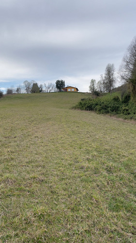 Vendo Campo 6 Ha Con Casa Camino Huichahue (66896)
