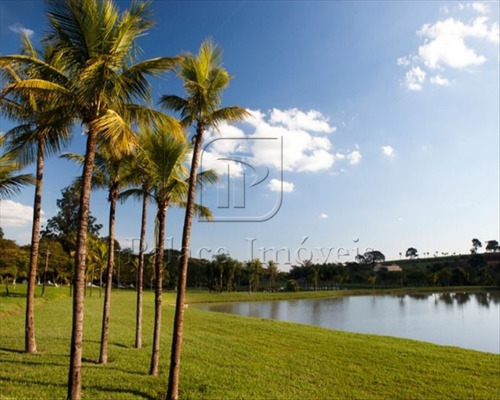 Imagem 5 de 7 de Terreno/lote À Venda, Centro - Cravinhos/sp - 1104