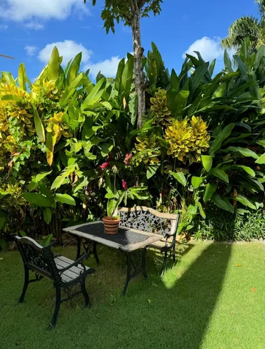 Paisajismo Y Jardinería