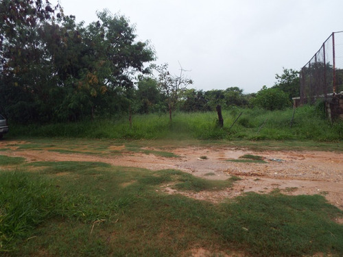 Lote Para Comprar No Pinhões Em Santa Luzia/mg - 3312