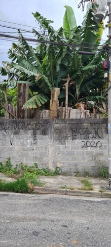 Imagem 9 de 14 de Terrenos Ou Lotes Residenciais Para Venda No Bairro Cidade Parque Brasília Em Guarulhos - Cod: Ai22658 - Ai22658