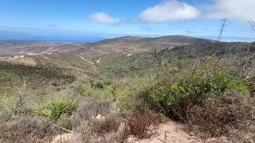 Se Vende Parcela De Agrado De 10.082m2 Pichicuy-huaquen Alto