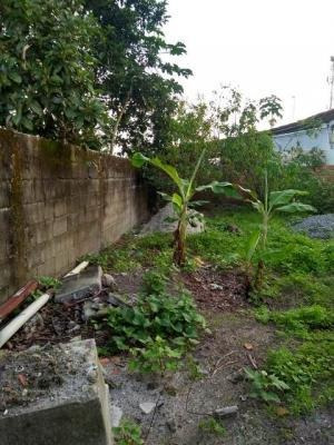 Terreno Murado E Aterrado Na Nova Itanhaém À 500m Do Mar