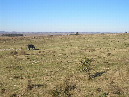Estancia En Treinta Y Tres Ref. 332