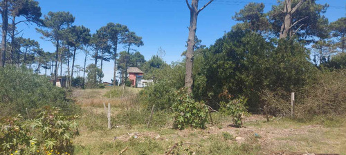 Terreno En Venta En El Bosque En Punta Del Diablo