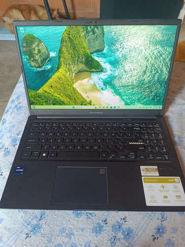 Laptop Asus Vivobook 15.6'' F1502 Intel Core I9-13900h Azul (Usado)