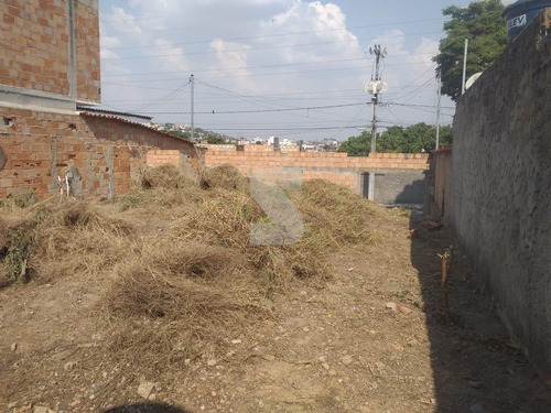 Imagem 9 de 10 de Lote / Área / Terreno À Venda, Sapucaia - Contagem/mg - 27406