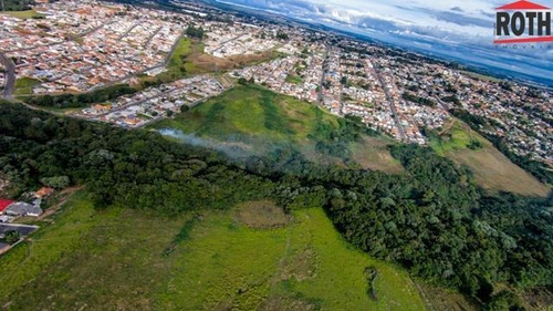 Imagem 3 de 15 de Terreno Para Venda Em Ponta Grossa, Jardim Carvalho - Ecojdc_1-1314084