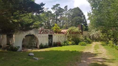 Venta De Chacra En Maldonado, Punta Ballena 5 Has - Ref: 19265
