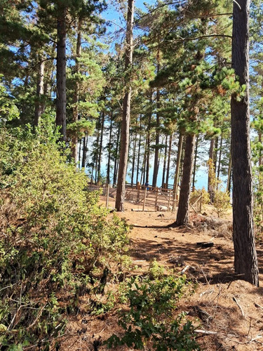 Magico Terreno En Tunquen, Con Cuidadores, Cercano A Playa