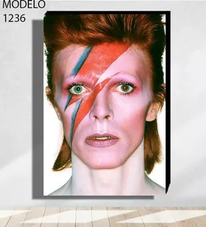 Cuadro Canvas Personalizado 35x50cm  David Bowie Aladdin