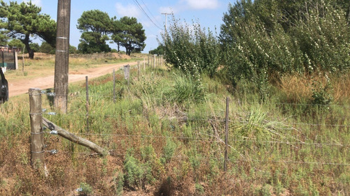 Imagen 8 de 14 de Lote Terreno En Mar De Ajo Nueva Atlantis Sobre Avenida Chascomus Oportunidad