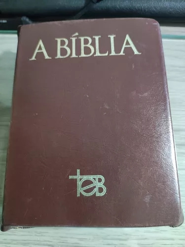 Livro A Bíblia - Teb (tradução Ecumênica Da Blíblia) - Gabriel C. Galache (direção Da Edição Brasileira) [1995]