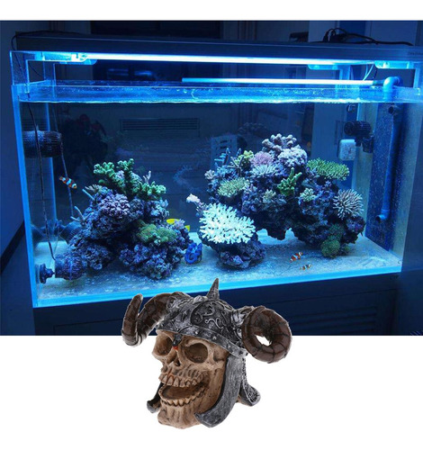 Adorno De Calavera De Acuario 3