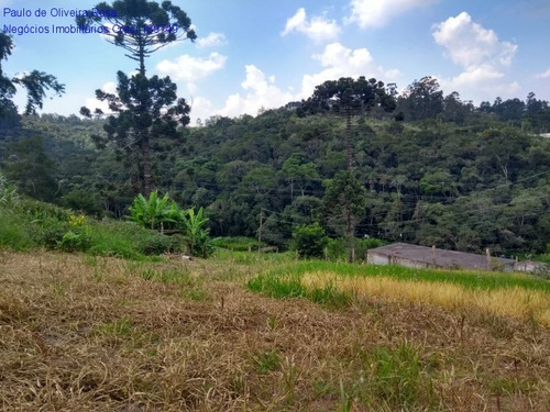 Imagem 17 de 17 de Terreno - Te00050 - 69320696