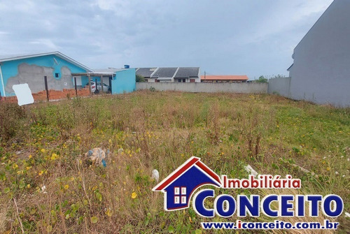 Imagem 7 de 8 de T156 - Excelente Terreno De 600 M² Em Ótima Região Na Praia