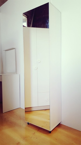 Imagen 6 de 10 de Zapateros Botinero Con Estantes Multiuso 1 Puerta Y Espejo+