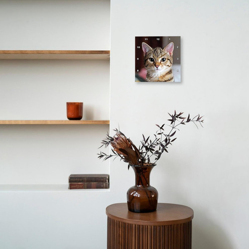 3drose Dpp__1 Hello Kitty Animal, Moggie, Tabbies, Tabby Cat