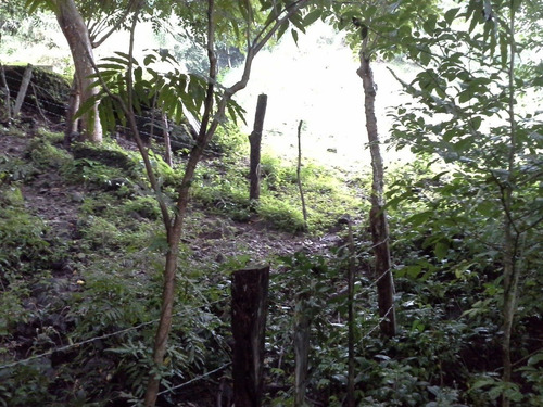 Imagen 11 de 14 de Terreno De Abangares